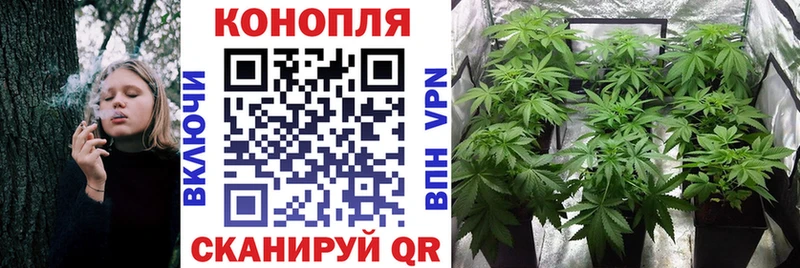 Купить наркотики цена Верхотурье APVP  МДМА  Амфетамин  ГАШИШ  Меф  COCAIN 