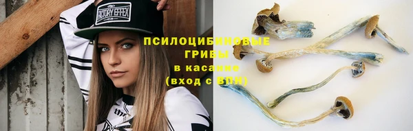 2c-b Белоозёрский
