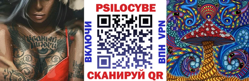 Псилоцибиновые грибы Cubensis  сколько стоит  Верхотурье 